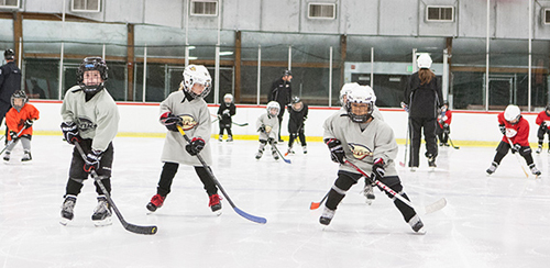 The Rinks