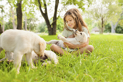 little girl playing outside with puppies