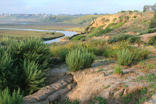 Upper Newport Bay Preserve