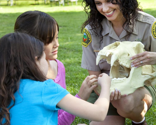 Kids looking at an animal skull at the OC Zoo Preschool Program