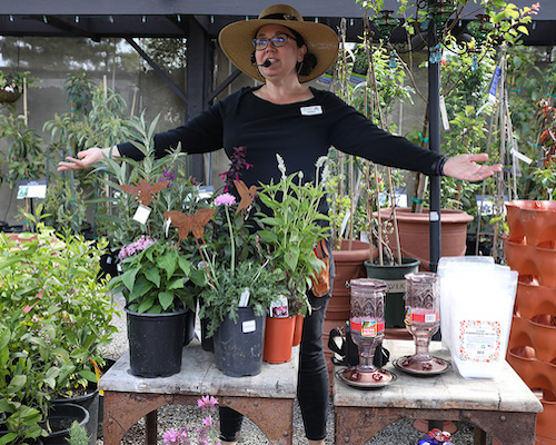 Roger’s Gardens Spring Celebration