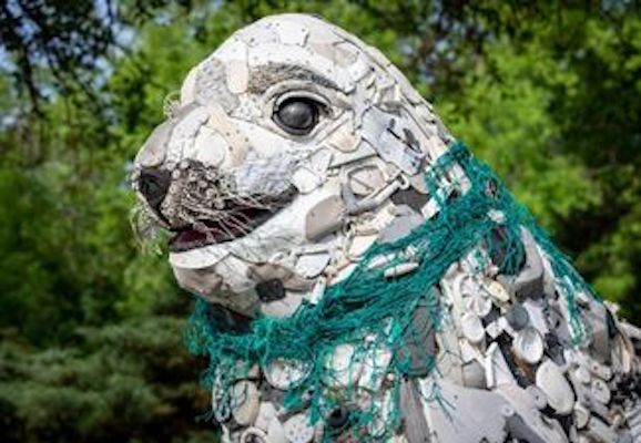 “Washed Ashore” Exhibit