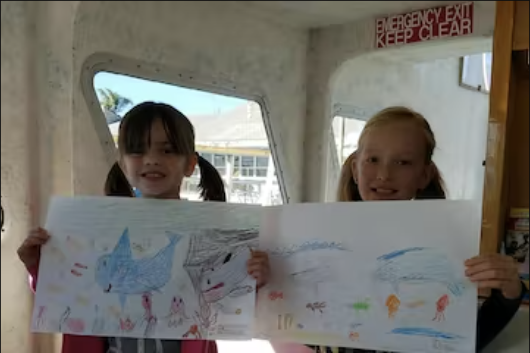 Art Lesson In The Wild