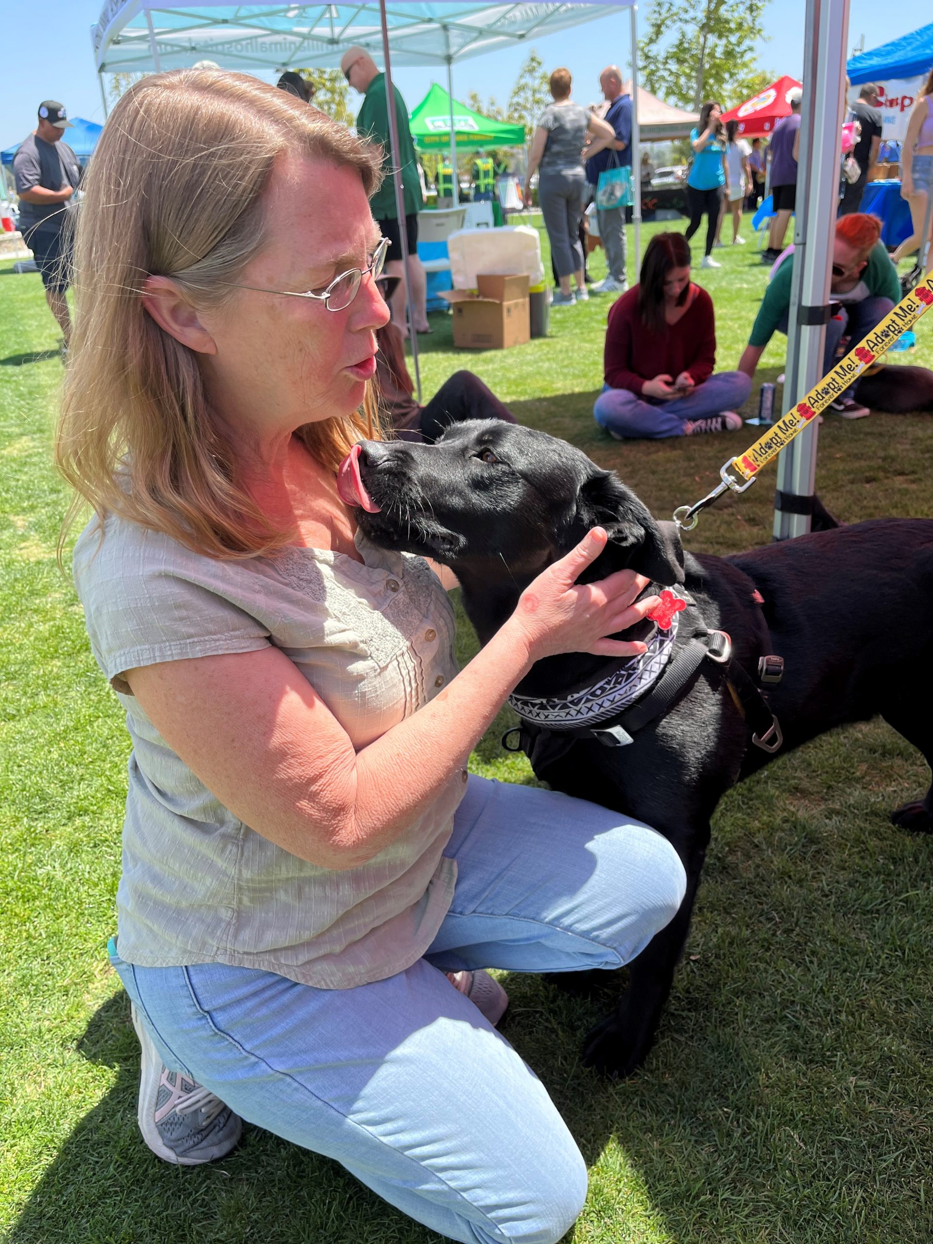 South County Pet Expo