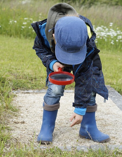The Nature Reserve’s Earth Day Festival