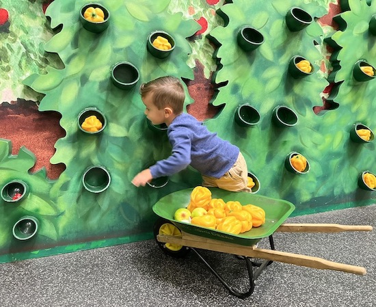 Camping in the City!