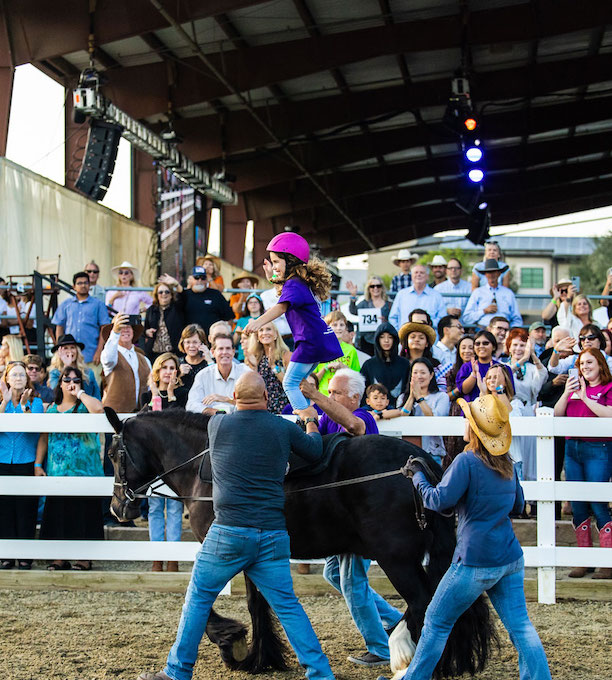The Shea Center’s Annual BBQ & Family Faire