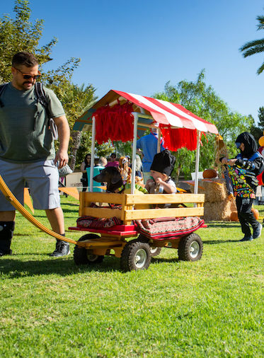 Aliso Viejo Fall Harvest Festival