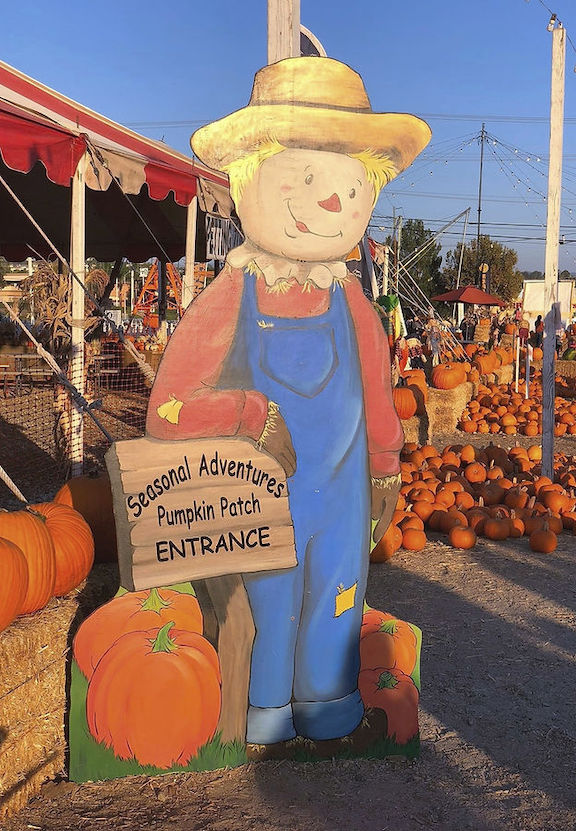 OC Fair Pumpkin Patch