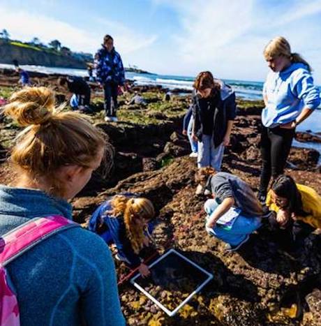 Tidepooling Adventure