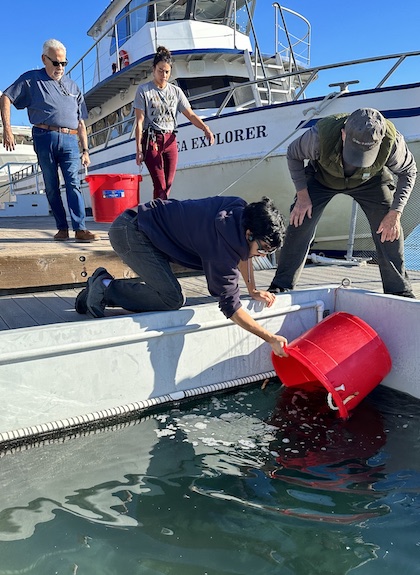 Hatch and Release: White Sea Bass Program Tour