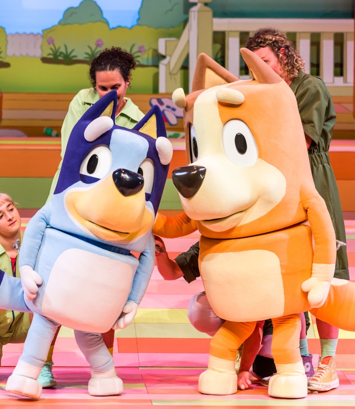 Bluey’s Big Play