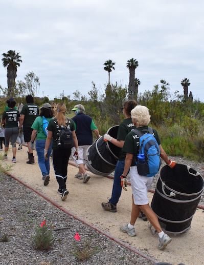 Los Cerritos Wetlands Habitat Restoration