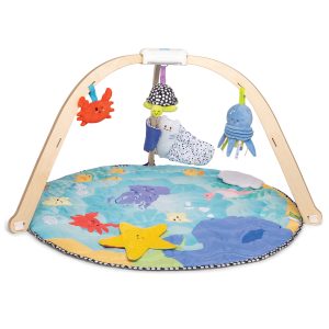 Ocean Easy Fold Play Gym