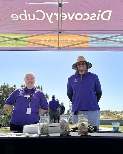 Impact Event: Cleanup