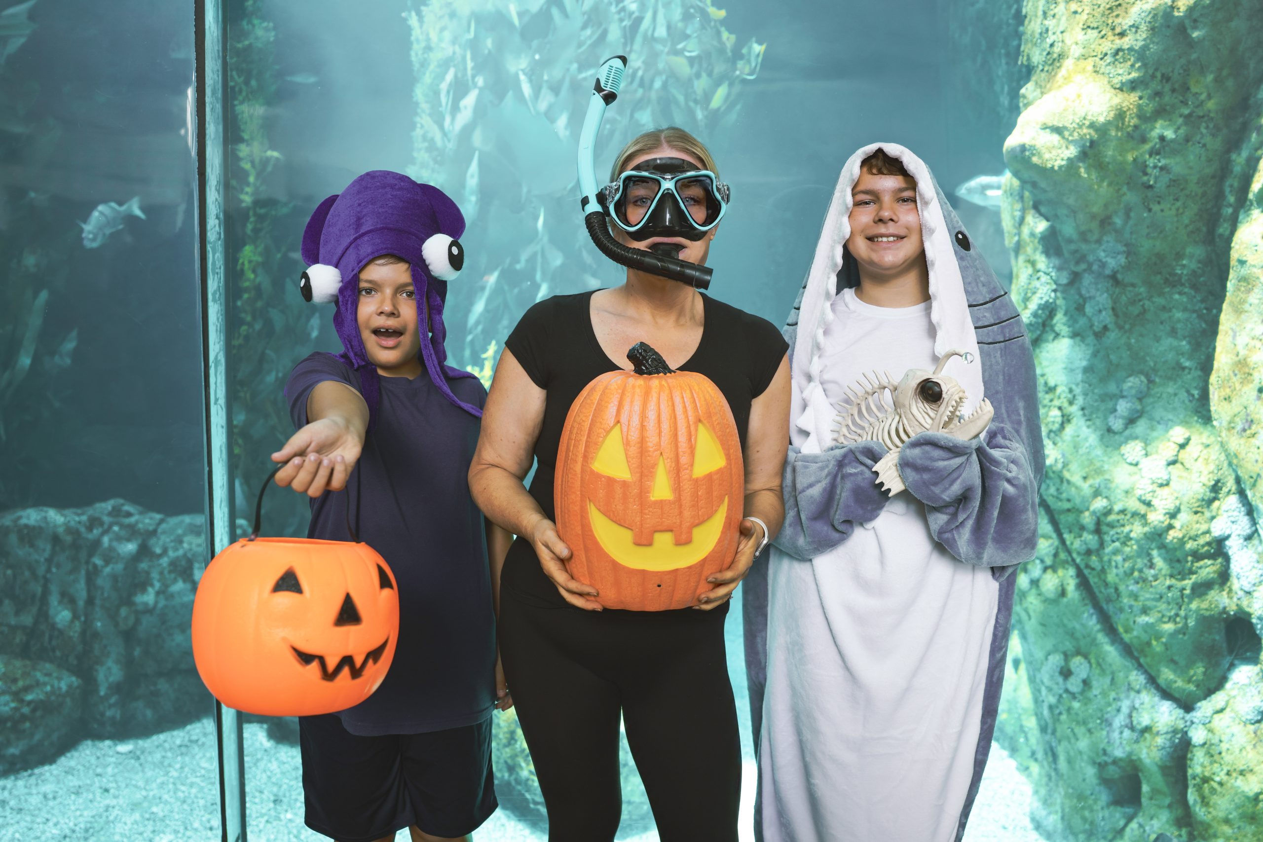 Scarium Family Night